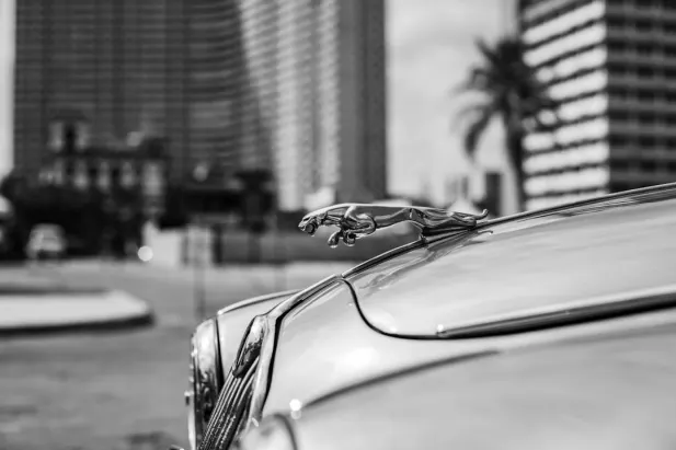 Cazino Loyal Bet Cazinou Aplicație Android/iOS